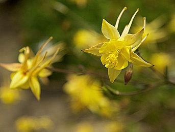 限时特价仅需8元，来《三国志汉末霸业》匡扶汉室